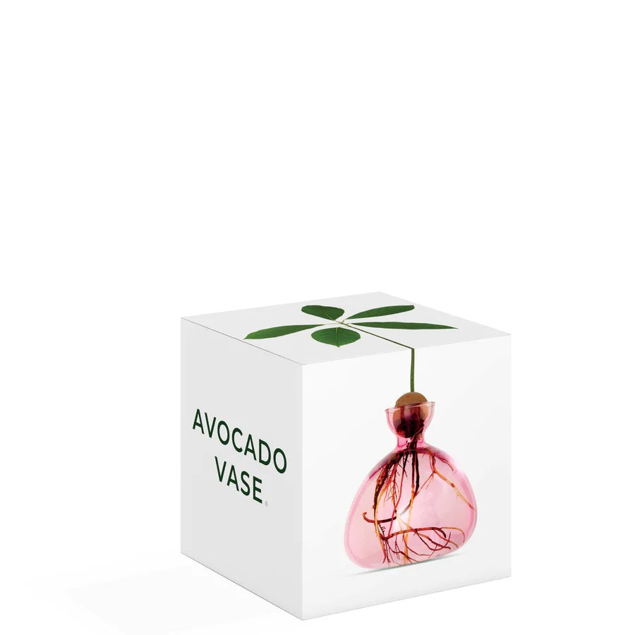 AVOCADO Vase